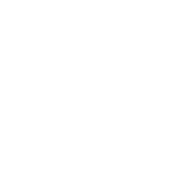 AIpoint